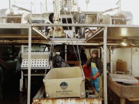 The New Bedford Light - The New Bedford Light