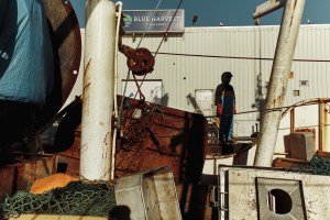 The New Bedford Light - The New Bedford Light