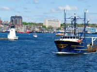 The New Bedford Light - The New Bedford Light