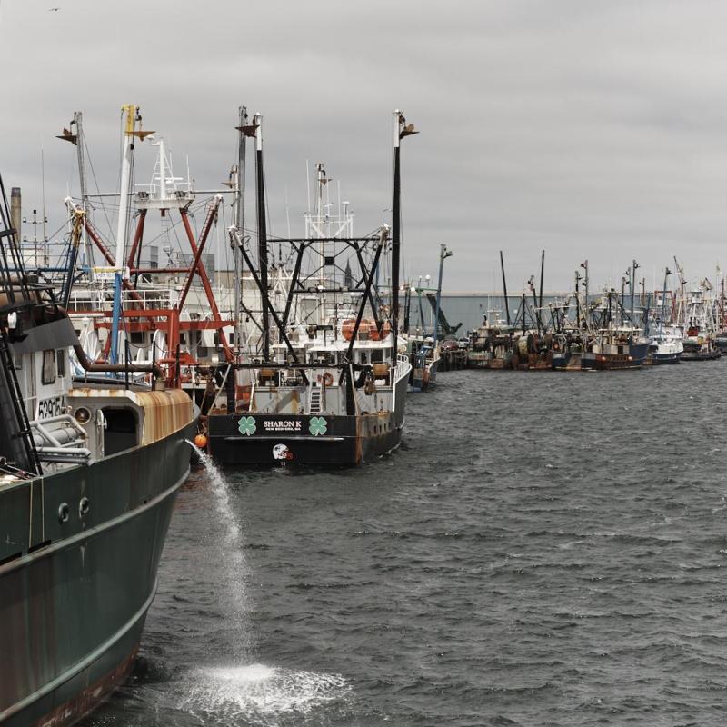 Light reporter Will Sennott talks fishing industry with WGBH’s Boston Public Radio
