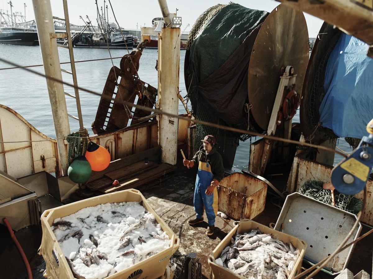 Investigación: Cómo capital privado extranjero enganchó a la industria pesquera de Nueva Inglaterra