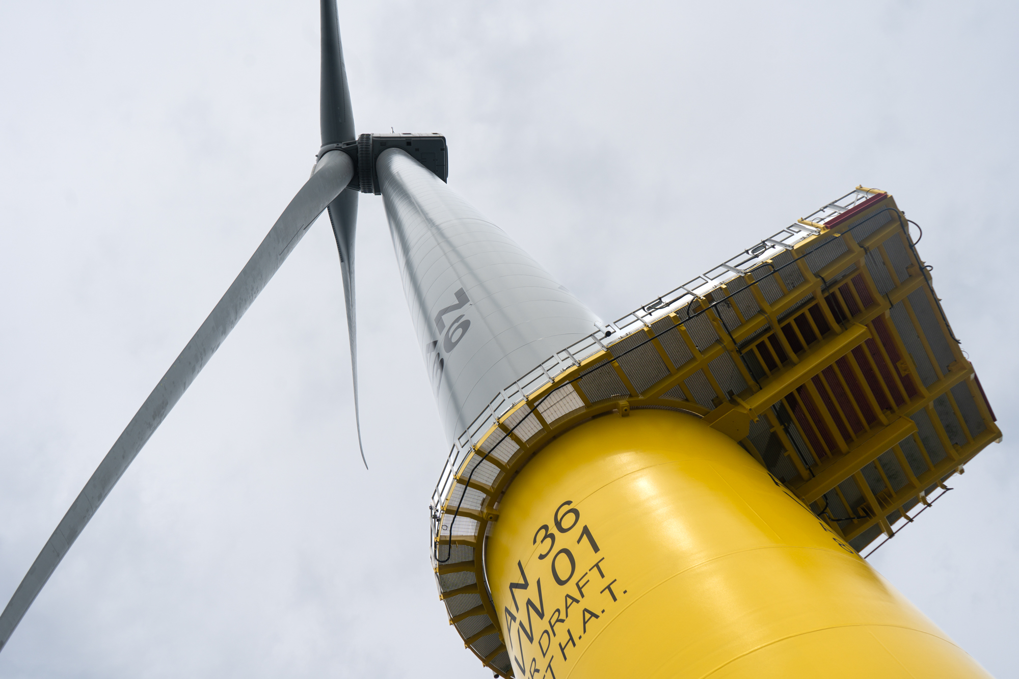 What does an offshore wind farm look like?