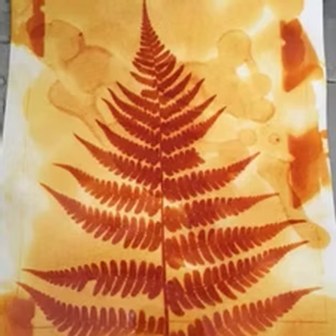 Cyanotype and Anthotype Print Process Making - The New Bedford Light