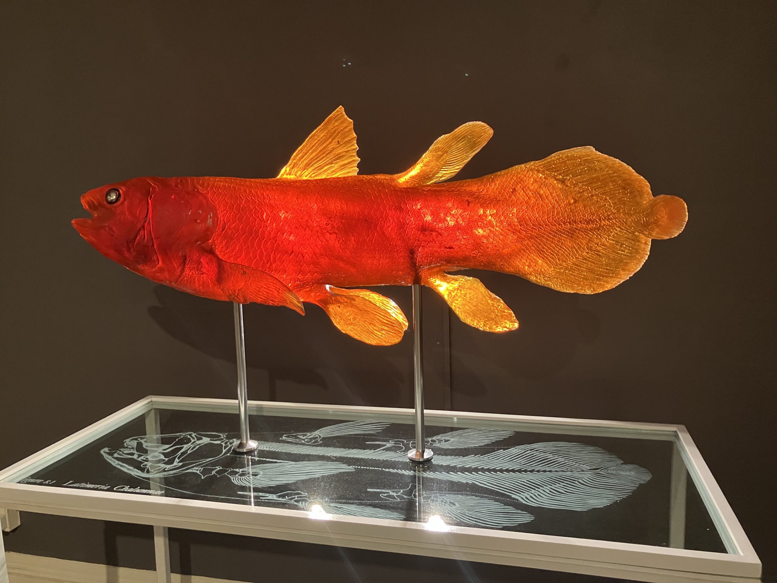 Ambitious, challenging exhibition a commentary on the age of humans